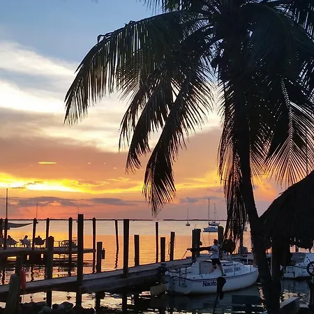 Key Largo Cottages